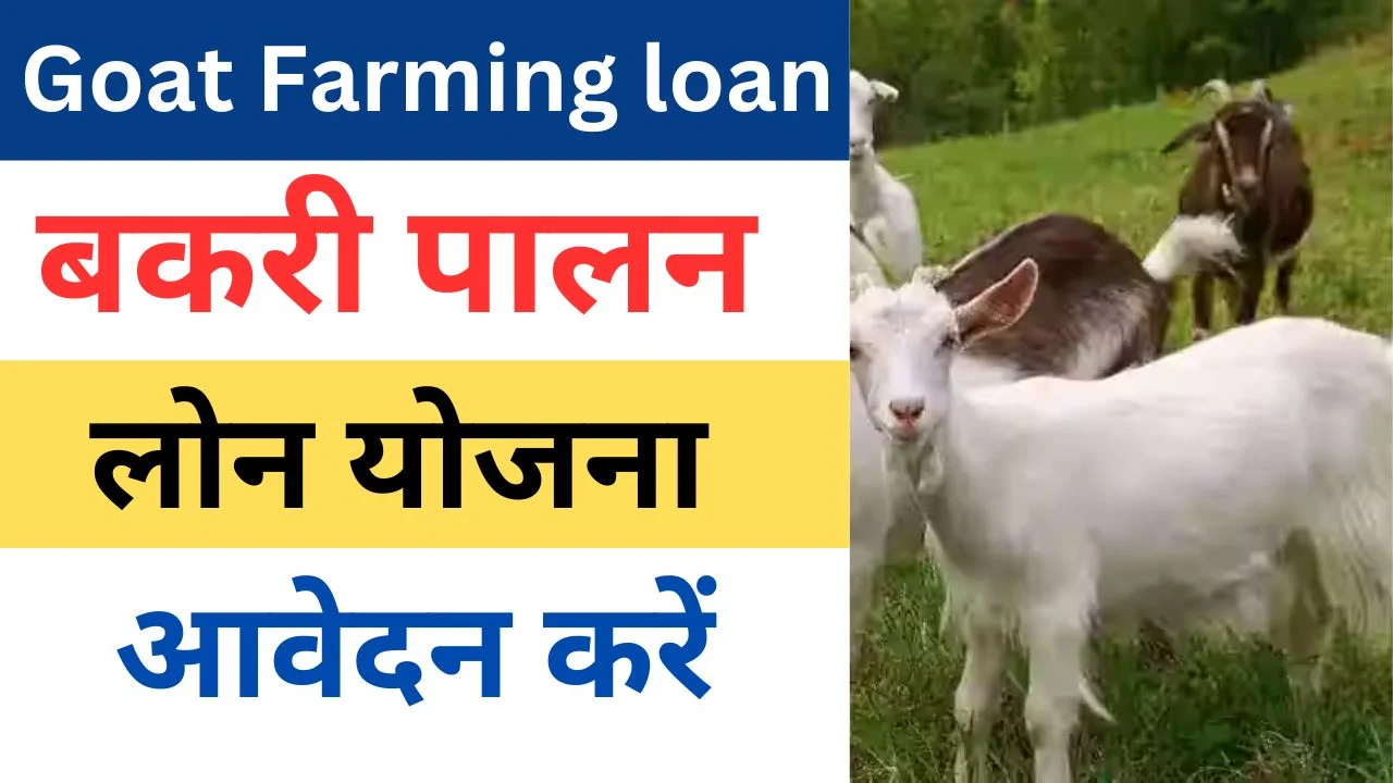 MP Bakri Palan Yojana