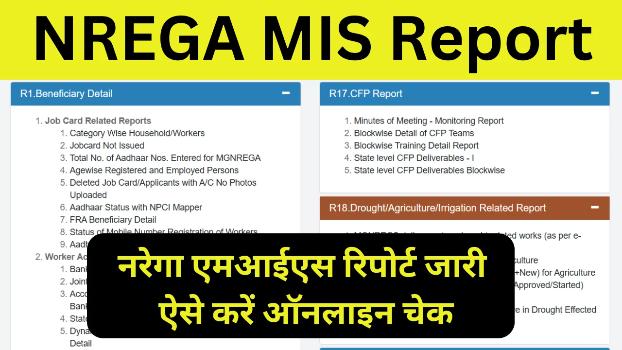 NREGA MIS Report