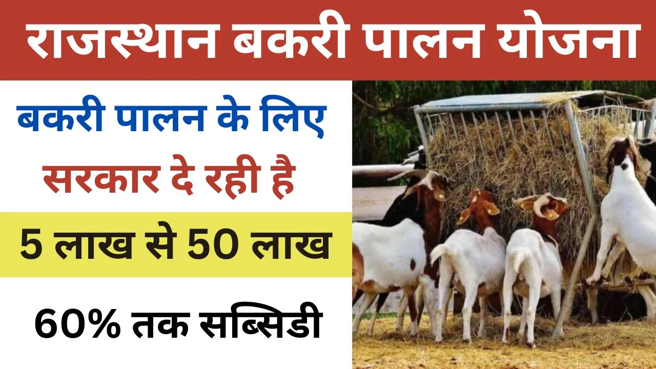 Rajasthan Bakri Palan Yojana