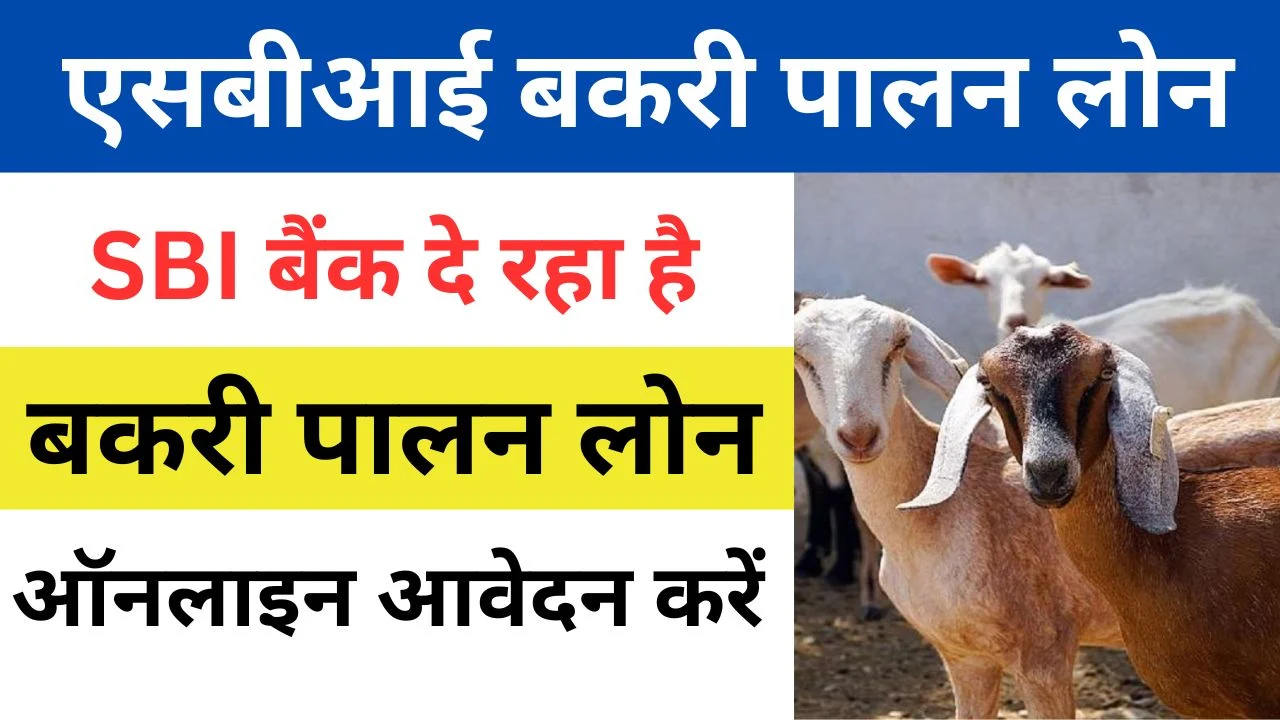 SBI Bakri Palan loan